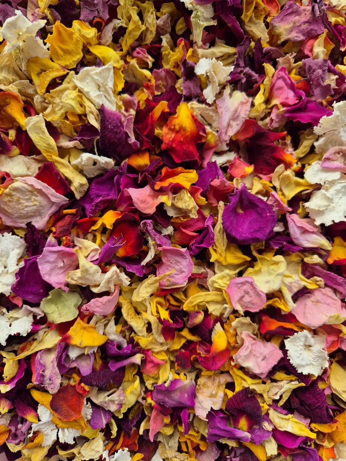 Multi Colour mixed petal Wedfetti mix - pre order WedFetti