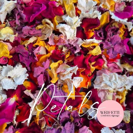 Multi Colour mixed petal Wedfetti mix - pre order WedFetti