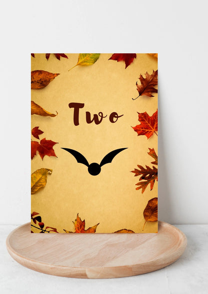 Harry potter style wedding table numbers WedFetti